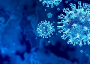 coronavirus2 coronavirus2