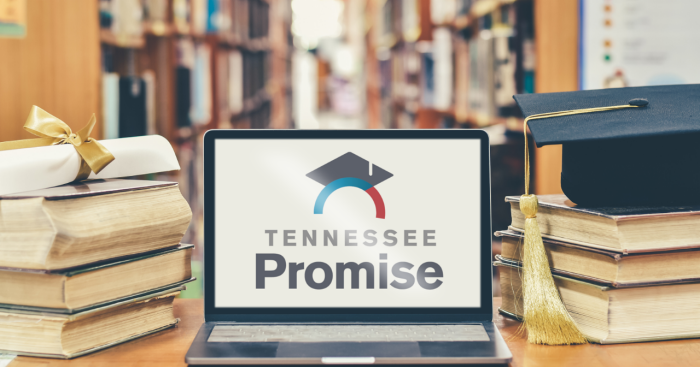 TNpromise TNpromise