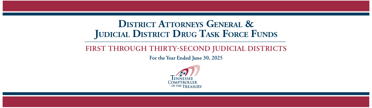 Banner image for the Fiscal Year 2025 DA Report.